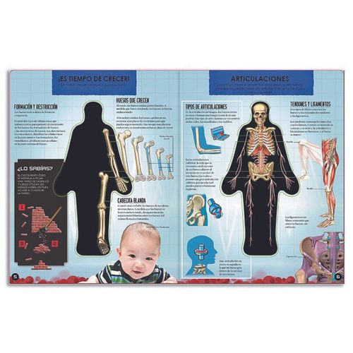 Miremos Dentro del Cuerpo Humano Catapulta Editores