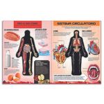 MIREMOS-CUERPO-HUMANO4