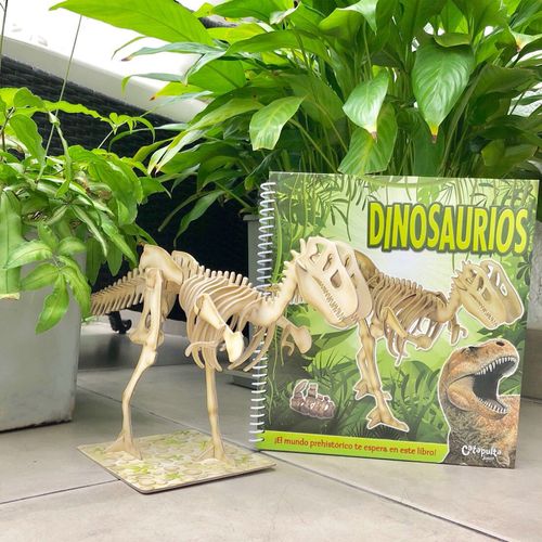 Libro Dinosaurios