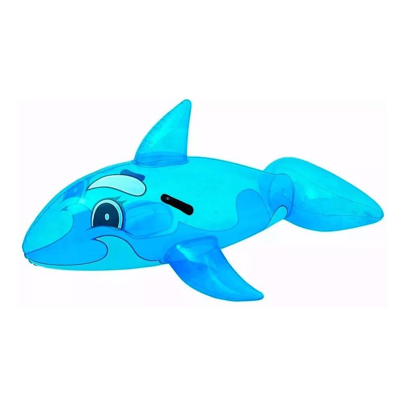 41036