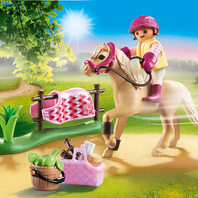 70521-PONY-DE-EQUITACION-ALEMAN-1--2-