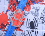 Spiderman-2711--2-