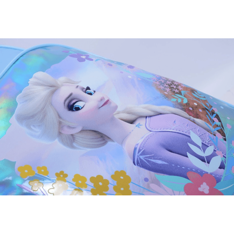 Frozen-2911--6-