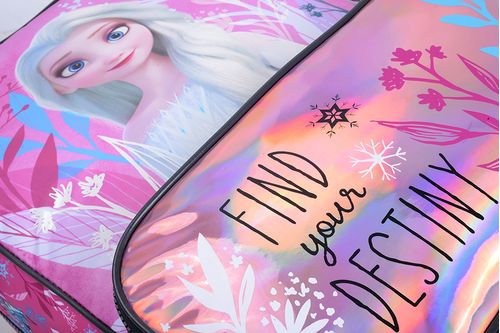 Mochila Frozen Espalda 14 Pulgadas Destiny Fucsia