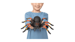 gaturro2---2025-05-05T172240.008.png