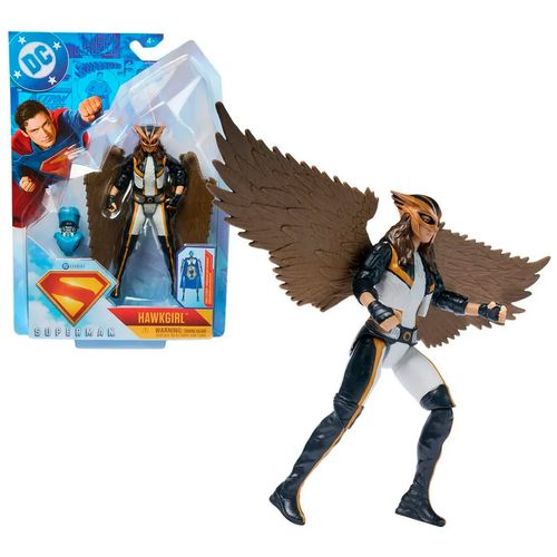 Figuras De Acción DC De Hawkgirl
